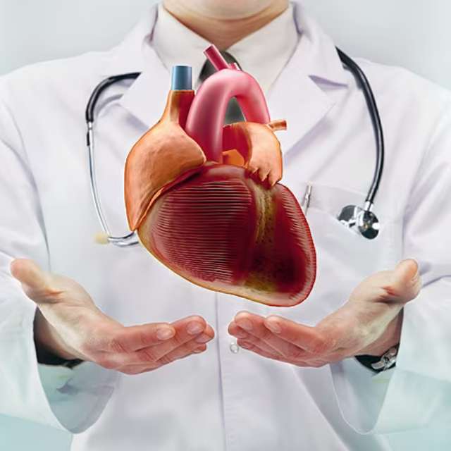 Médico Internista en Rionegro Tratamiento de Enfermedades Cardiovasculares y Metabolismo